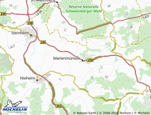 MICHELIN Münsterbrock map - ViaMichelin