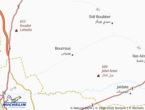 Mappa MICHELIN Bourous - ViaMichelin