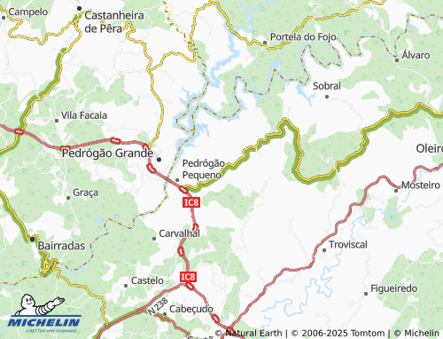 MICHELIN Vale da Galega map - ViaMichelin
