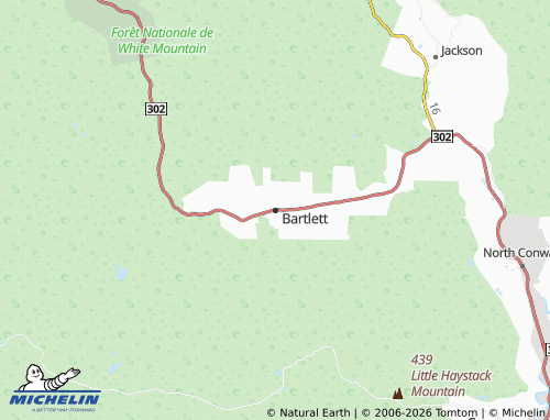 Mappa MICHELIN Bartlett - ViaMichelin