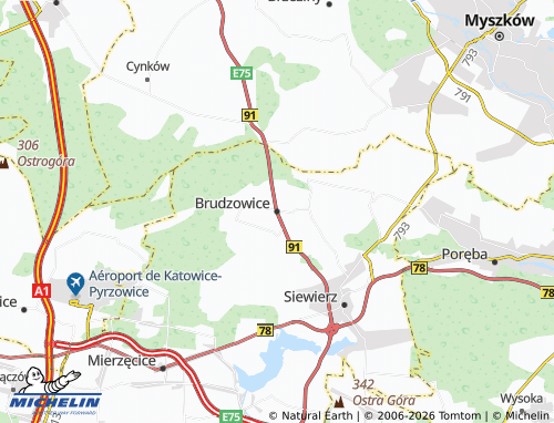 Mappa MICHELIN Brudzowice - ViaMichelin