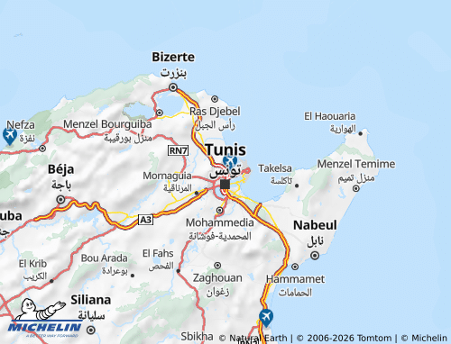 Mapa MICHELIN Aryanah - ViaMichelin