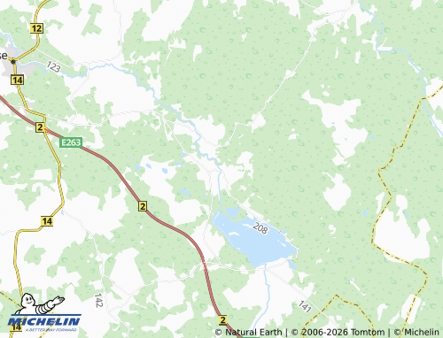 MICHELIN Puusepa map - ViaMichelin