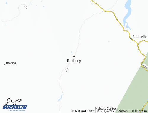 Mapa MICHELIN Roxbury - ViaMichelin