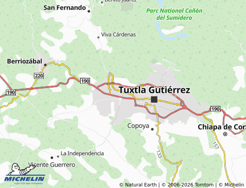 MICHELIN San Martín map - ViaMichelin