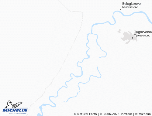 MICHELIN Bestuzhevo map - ViaMichelin