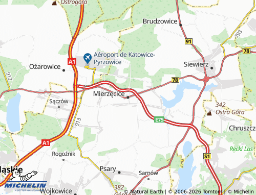 Carte MICHELIN Mierzęcice - ViaMichelin