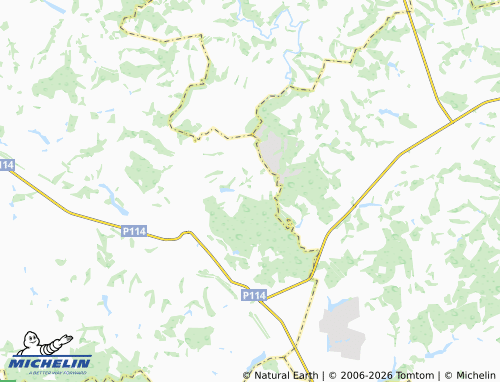 Carte MICHELIN Voslinka - ViaMichelin