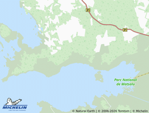 MICHELIN Saardu map - ViaMichelin