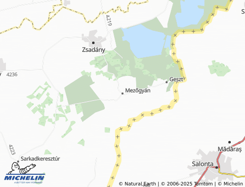 Kaart MICHELIN Mezőgyán - ViaMichelin