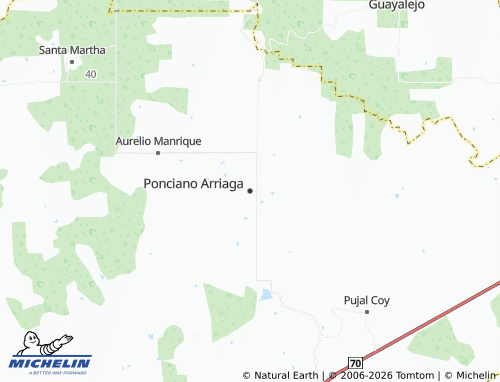 Mappa MICHELIN Ponciano Arriaga - ViaMichelin