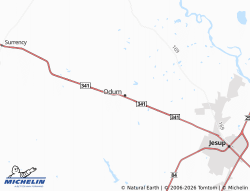 Mappa MICHELIN Odum - ViaMichelin
