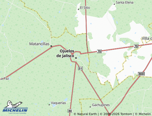 Mappa MICHELIN Ojuelos de Jalisco - ViaMichelin