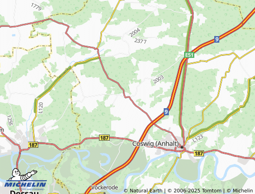 Kaart MICHELIN Düben - ViaMichelin