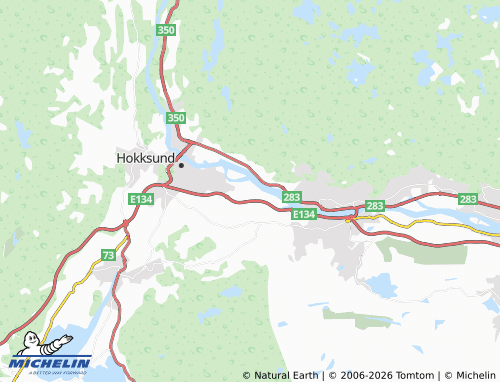 MICHELIN Steinberg map - ViaMichelin