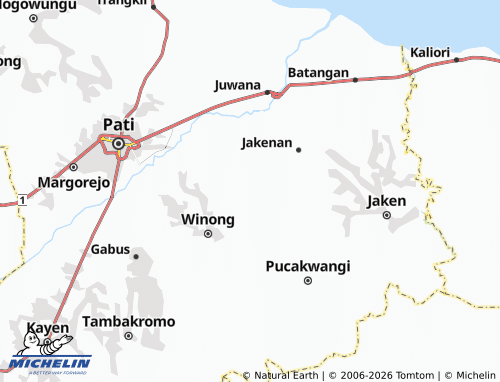 Carte MICHELIN Sarimulyo - ViaMichelin
