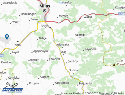 Mapa MICHELIN Aslanyaka - ViaMichelin