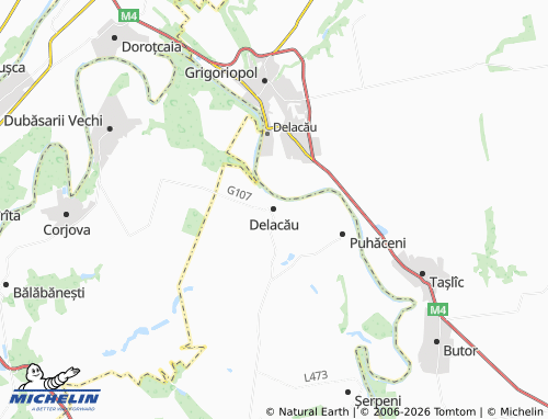 Mappa MICHELIN Delacău - ViaMichelin