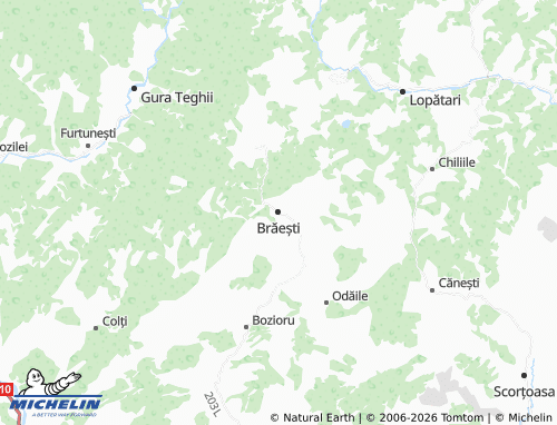 Mapa MICHELIN Brăești - ViaMichelin