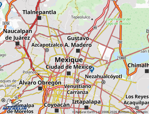 Mappa MICHELIN Guadalupe Tepeyac - ViaMichelin