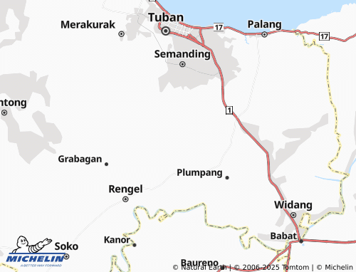 MICHELIN Ngino map - ViaMichelin