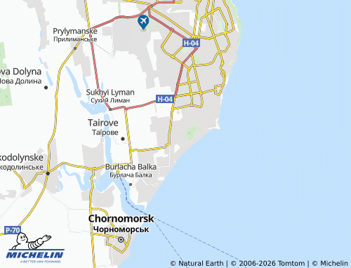 Mapa MICHELIN Tsarske Selo - ViaMichelin