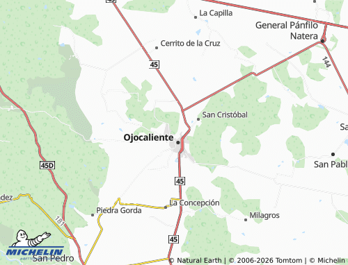 Mapa MICHELIN Nuevo Ojocaliente - ViaMichelin