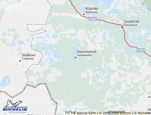 MICHELIN-Landkarte Nasywaewski Rajon - ViaMichelin