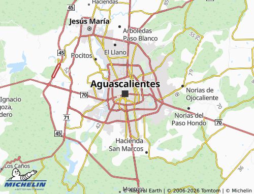 Mapa MICHELIN El Encino - ViaMichelin