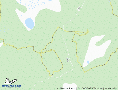 MICHELIN Lozhgolovo map - ViaMichelin