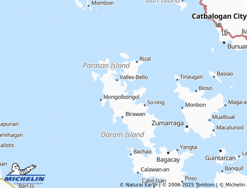MICHELIN San Vicente map - ViaMichelin