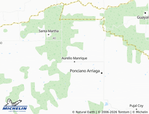 Mappa MICHELIN Nuevo Tonatico - ViaMichelin