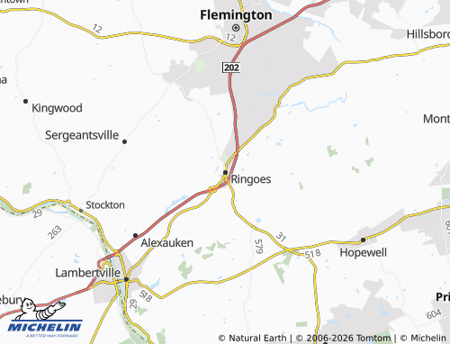 Mappa MICHELIN Ringoes - ViaMichelin