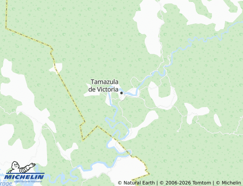 MICHELIN Tamazula de Victoria map - ViaMichelin