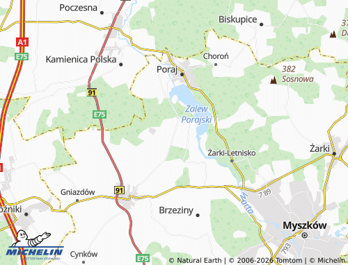 MICHELIN Gęzyn map - ViaMichelin