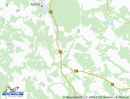 MICHELIN Pirgu map - ViaMichelin