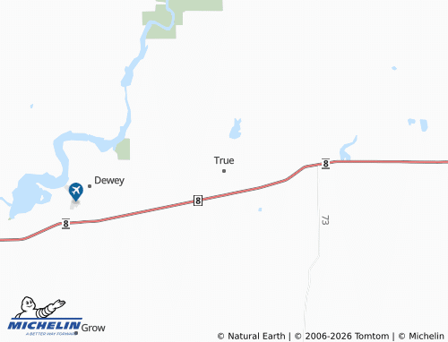 Carte MICHELIN True - ViaMichelin