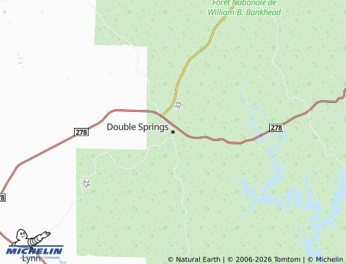 Mappa MICHELIN Double Springs - ViaMichelin