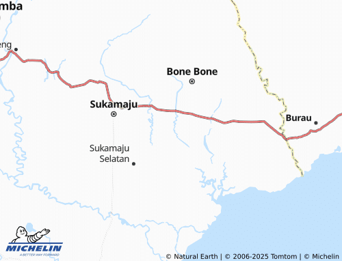 Carte MICHELIN Banyu Urip - ViaMichelin