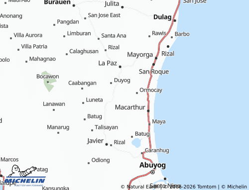 MICHELIN Wilson map - ViaMichelin