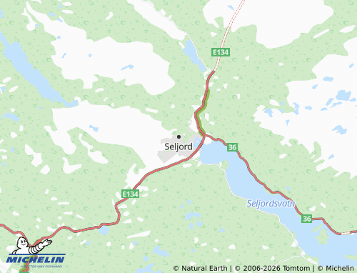 MICHELIN Seljord map - ViaMichelin