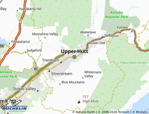 MICHELIN-Landkarte Upper Hutt - ViaMichelin
