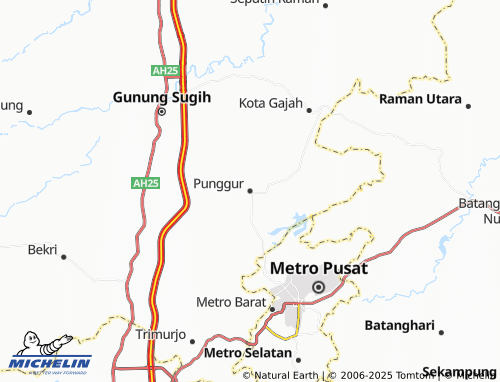Carte MICHELIN Punggur - ViaMichelin