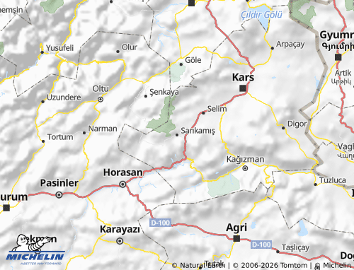 MICHELIN Sarıkamış map - ViaMichelin