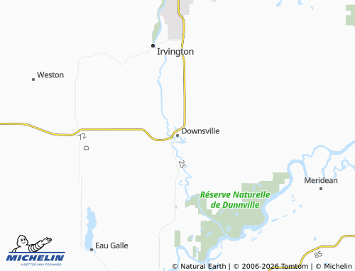 Mappa MICHELIN Downsville - ViaMichelin
