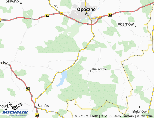 MICHELIN Miedzna Drewniana map - ViaMichelin