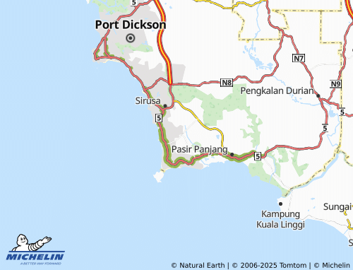 MICHELIN Taman Intan Perdana map - ViaMichelin