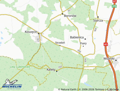 MICHELIN Strzebiń map - ViaMichelin