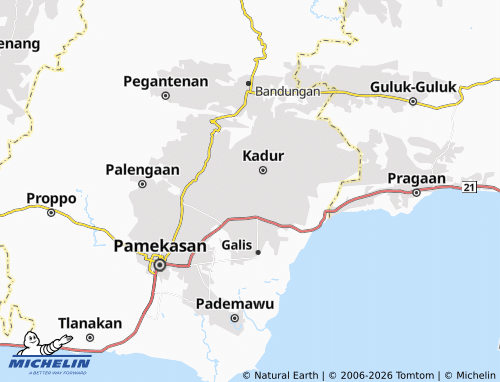 MICHELIN Larangan map - ViaMichelin