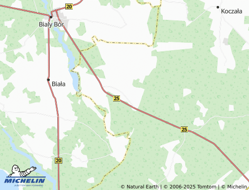 MICHELIN Brzezie map - ViaMichelin